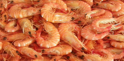 langostinos congelados